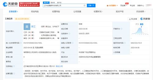 信息系統(tǒng)集成服務(wù)的價(jià)值與核心要素